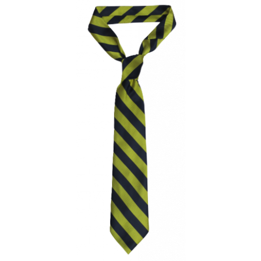Gold/Navy Collegiate Striped Tie