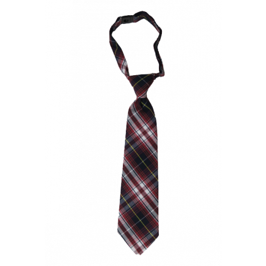 Pre-Tied Boy's 500 Plaid Tie