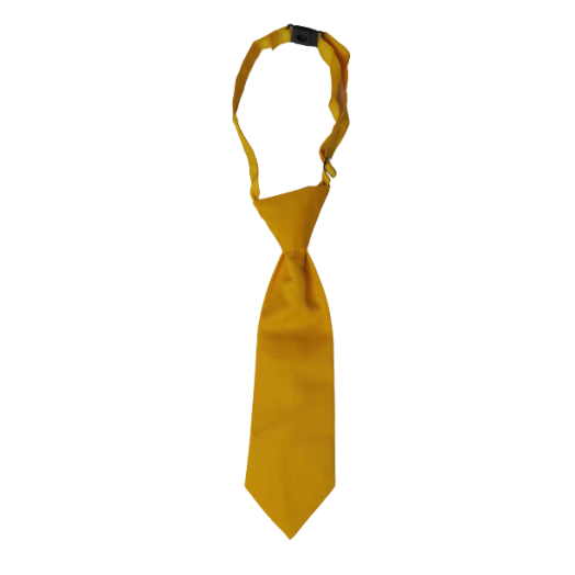 Pre-Tied Boy's Gold Tie