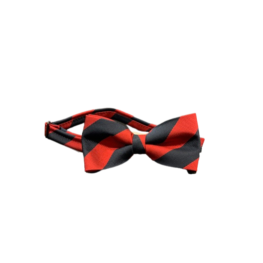 Red/Navy Collegiate Striped Bow Tie
