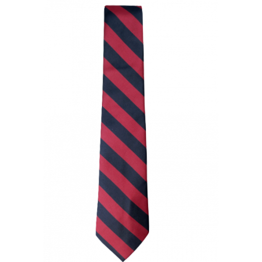 Red/Navy Collegiate Striped Tie