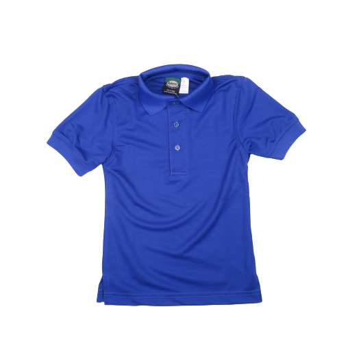 Short Sleeve Royal Blue Dri-Fit Polo Shirt