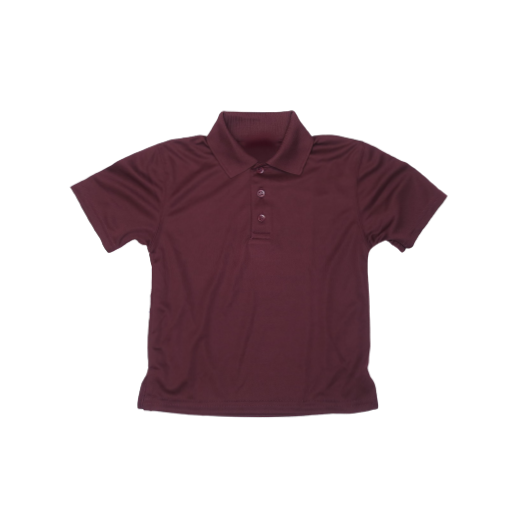 Short Sleeve Maroon Dri-Fit Polo Shirt